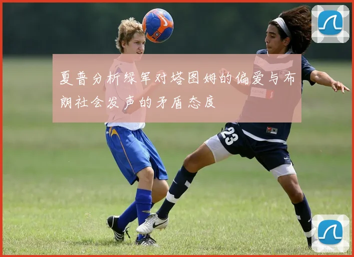 夏普分析绿军对塔图姆的偏爱与布朗社会发声的矛盾态度
