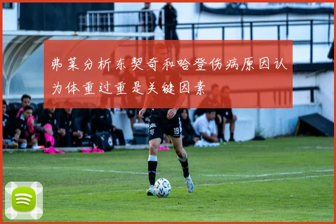 弗莱分析东契奇和哈登伤病原因认为体重过重是关键因素